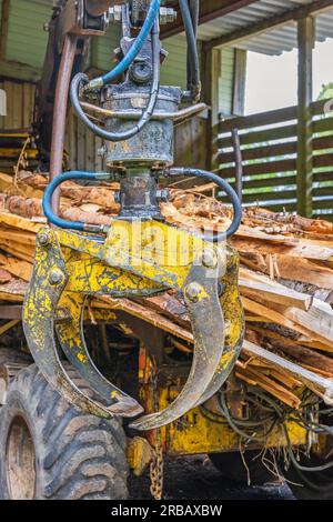 Veicolo forestale con gru idraulica per il sollevamento di tronchi Foto Stock
