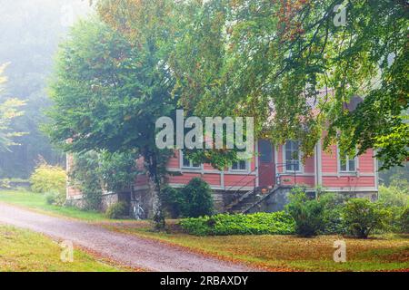 Cottage rosa in una nebbiosa giornata autunnale su una strada sterrata in un boschetto di alberi, Svezia Foto Stock