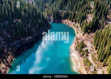 Aerea del lago Kaindy con i suoi alberi morti, il Parco Nazionale dei Laghi di Kolsay, le montagne di Tian Shan, Kazakistan Foto Stock