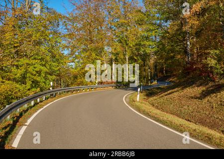 Strada, foresta, faggeta, autunno, Hesselbach, Odenwald, Assia, Germania Foto Stock