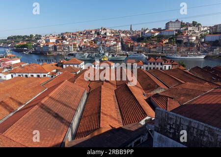 Vista sui tetti delle cantine portuali di Vila Nova de Gaia fino alla storica città vecchia di Porto, Portogallo Foto Stock