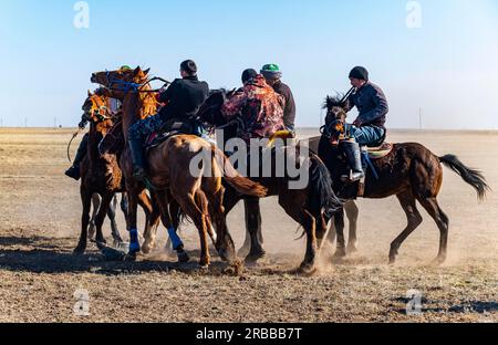 Uomini che praticano il Kokpar, gioco nazionale di cavalli, Kazakistan Foto Stock