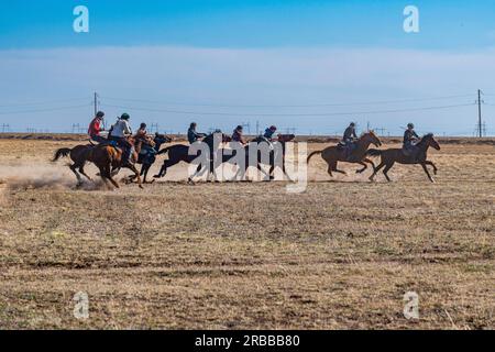 Uomini che praticano il Kokpar, gioco nazionale di cavalli, Kazakistan Foto Stock