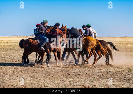 Uomini che praticano il Kokpar, gioco nazionale di cavalli, Kazakistan Foto Stock