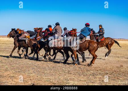 Uomini che praticano il Kokpar, gioco nazionale di cavalli, Kazakistan Foto Stock