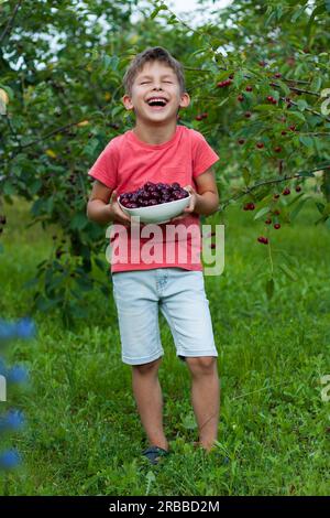 bambino in età prescolare che tiene un grande piatto con ciliegie rosse mature raccolte dall'albero nel giardino della casa. Ritratto di un bambino felice sullo sfondo del ciliegio. H Foto Stock