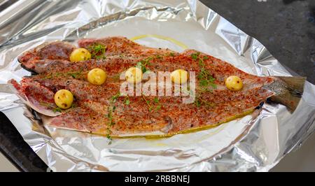 Pesce tradizionale di acciuga (Pomatomus saltador) stagionato pronto per essere cotto in forno Foto Stock