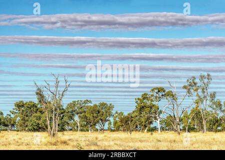 Altocumulus stratiformus undulatus o Wave Clouds in the Australian Outback, Dajarra, Queensland, QLD, Australia Foto Stock