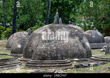 Una sezione dei 20 stupidi visibili a Kathurugoda (Kantharodai) Antica Vihara a Chunnakam nella regione di Jaffna nello Sri Lanka. Foto Stock