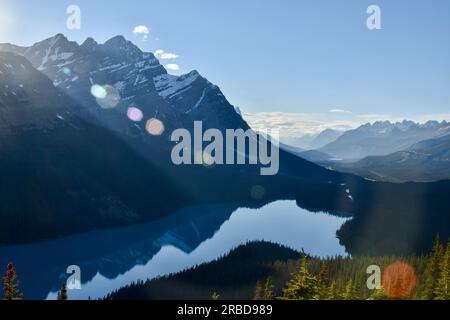 lago peyto nel parco nazionale di banff con sole serale da ovest. la forma del lago sembra un lupo. Foto Stock