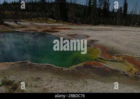 Viste del parco nazionale di Yellowstone, Wyoming, scattate durante la visita dal segretario Dirk Kempthorne e dagli assistenti Foto Stock