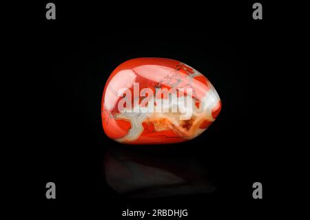 red jasper isolato su sfondo nero. trama di dettaglio macro. primo piano pietra preziosa semi-preziosa lucida. Foto Stock