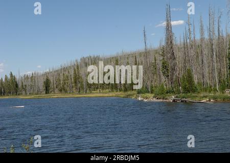 Viste del parco nazionale di Yellowstone, Wyoming, scattate durante la visita dal segretario Dirk Kempthorne e dagli assistenti Foto Stock