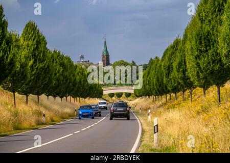 Il Dorstfelder Allee a Dortmund, 2013 strada completamente nuova, ex terreno agricolo, nel quartiere di Dorstfeld, viale alberato in stile toscano con Foto Stock