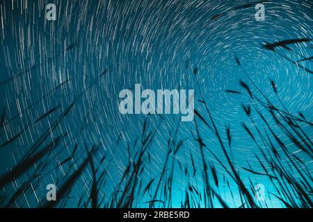 Spin Trails of Stars Above Young Wheat Sgermouts nella stagione agricola estiva. Night Starry Sky che illumina le stelle della via Lattea e i percorsi meteorici in alto Foto Stock