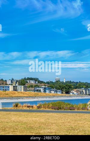 Insediamento residenziale di Victoria City al limitare dell'isola di Vancouver Foto Stock