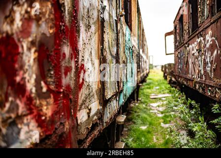 Colpo percettivo di vecchi treni e vagoni danneggiati, sfondo vintage molto poco profondo di campo Foto Stock