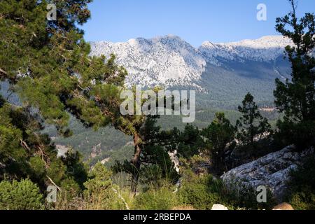 Vista sulle montagne del Tauro e sulle foreste. Tahtali, Antalya. Foto Stock