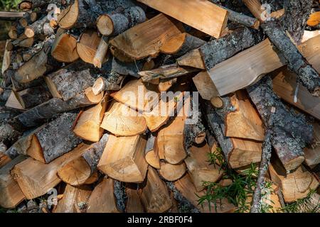 Pila di legna da ardere, principalmente betulla Foto Stock
