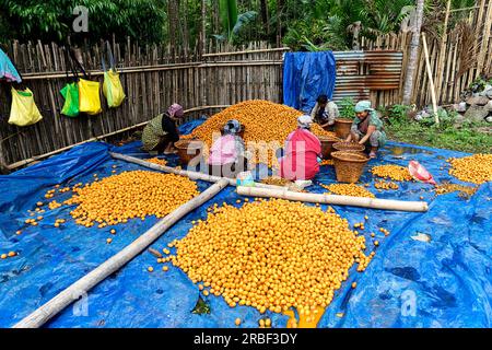 Donne in abiti tipici sedute a terra e che cercavano frutta di betel dopo il raccolto, un villaggio vicino a Mawlynnong, nel nord-est dell'India Foto Stock