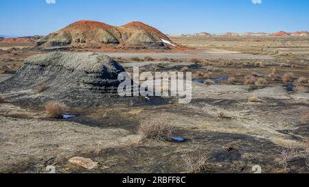 Surreal Bisti Badlands | Bisti/De-Na-Zin Wilderness, New Mexico, USA Foto Stock