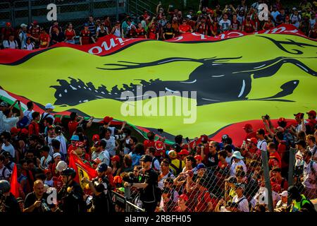 Monza, Italie. 9 luglio 2023. Tifosi spettatori, tifosi durante la 6 ore di Monza 2023, 3° round del Campionato Mondiale Endurance 2023 FIA, dal 7 al 9 luglio 2023 sull'autodromo Nazionale di Monza, a Monza, Italia - foto Paulo Maria/DPPI Credit: DPPI Media/Alamy Live News Foto Stock