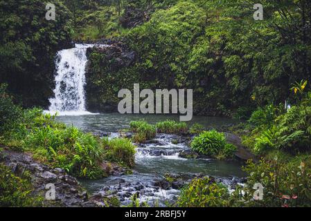 Pua Ka'a cade lungo la strada per Hana Foto Stock