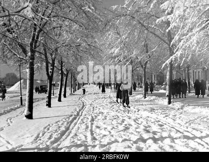 Stoccolma, Svezia: Febbraio 1937 una delle strade di Stoccolma dove la neve viene lasciata intatta a beneficio della popolazione sciistica. Foto Stock