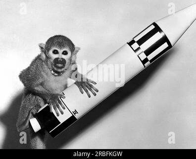 Huntsville, Alabama: 29 maggio 1959. Monkey Baker, il carico utile di Giove (AM-18), posa su un modello del veicolo di Giove. Foto Stock