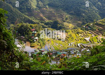 Incredibile vista panoramica dei campi di risaie e delle case del villaggio nelle montagne della provincia di Ifugao. Banaue, Filippine, patrimonio dell'umanità dell'UNESCO Foto Stock