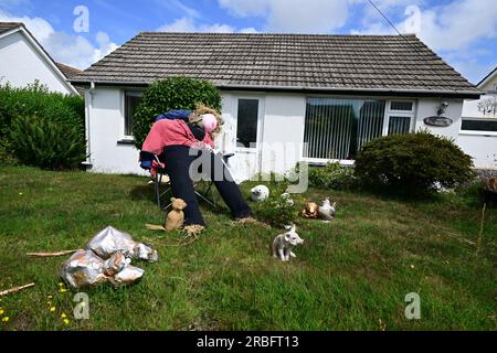 Spaventapasseri, stizi, città, giardini, paglia, cappelli, vestiti, fiori, fatti in casa, competizione, annuale, esca, manichino, umano, forma, consistenza, umanoide, Foto Stock