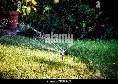 Sistema di irrigazione automatico per irrigazione del cortile - primo piano su una bocchetta in azione su sfondo scuro sfocato Foto Stock