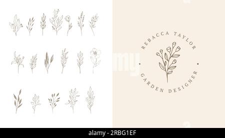 Eleganti elementi botanici, delicati e disegnati a mano, stile minimalista moderno. Illustrazioni vettoriali Illustrazione Vettoriale