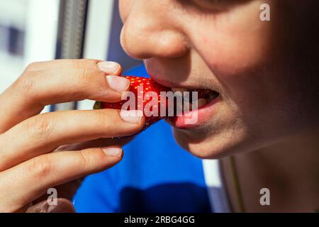 Un bambino felice mangia fragole mature. Deliziosa fragola biologica fresca. Il ragazzo prende un morso da una fragola rossa. Bocca del bambino con Foto Stock