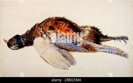 Dead Pheasant 1867 di John Ruskin Foto Stock