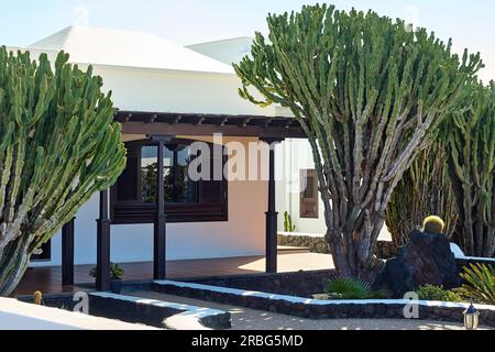 Tradizionale casa bianca spagnola con grande Cactus di fronte. Concetto di viaggio Foto Stock