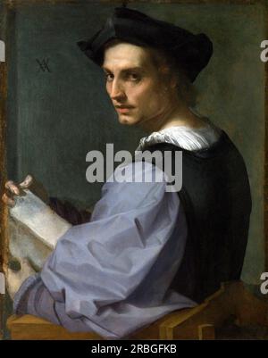 Ritratto di un giovane uomo 1517 di Andrea del Sarto Foto Stock