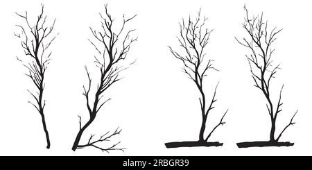 Illustrazione vettoriale della silhouette dei rami dell'albero Illustrazione Vettoriale