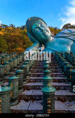 Fukuoka, Giappone - Novembre 21 2022: Il Tempio di Nanzoin a Fukuoka ospita un'enorme statua del Buddha sdraiato (Nehanzo) che sostiene di essere il più grande bron Foto Stock