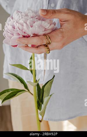 La mano di una donna che tiene il fiore di peonia rosa da vicino Foto Stock
