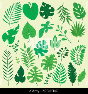 Un grande set di foglie diverse. Illustrazione Vettoriale