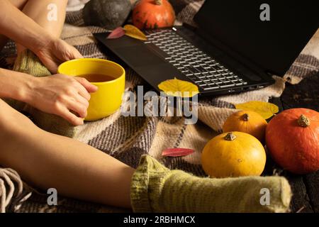 la ragazza si siede con una tazza di tè e ha guidato un computer portatile sul pavimento della casa circondato da foglie e zucche autunnali, freelancer a casa, umore autunnale Foto Stock