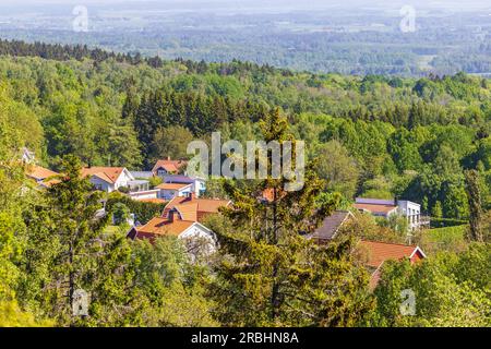 Area della casa in una lussureggiante foresta verde da un alto angolo Foto Stock