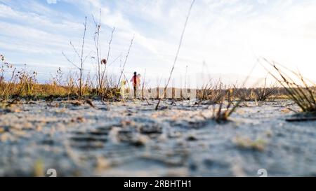 Un accattivante scatto con angolazione molto bassa che cattura il terreno sabbioso con erba sparsa sotto l'ipnotico bagliore di un cielo al tramonto. La composizione minimalista crea un contrasto sorprendente tra la terra testurizzata e le tonalità ardenti del cielo crepuscolo. Angolo molto basso di Sandy Ground con erba sotto un Sunset Sky. Foto di alta qualità Foto Stock