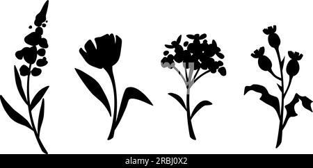 Set di sagome floreali. Silhouette nere di fiori isolate su sfondo bianco. Illustrazione vettoriale Illustrazione Vettoriale