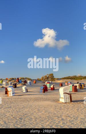 Sedie a sdraio e tende da spiaggia sulla spiaggia, isola di Borkum, bassa Sassonia, Germania Foto Stock