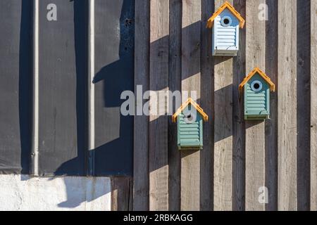 3 piccole e accoglienti scatole di uccellini fissate su una parete di legno del fienile alla luce del tardo pomeriggio Foto Stock