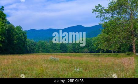 Cataloochee Valley, North Carolina Foto Stock