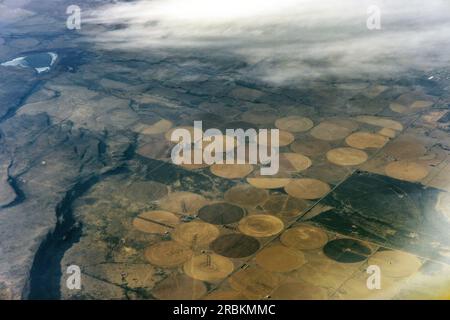 Numerosi campi di cereali irrigati circolari nel deserto, sistemi di irrigazione pivot, foto aerea, USA, Arizona, Sonora-Wueste, Phoenix Foto Stock