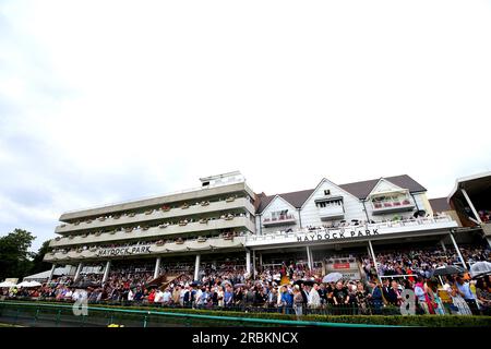 Una vista generale della tribuna durante il bet365 Old Newton Cup Day dell'Old Newton Cup Festival 2023 all'ippodromo di Haydock Park, Merseyside. Data foto: Sabato 8 luglio 2023. Foto Stock